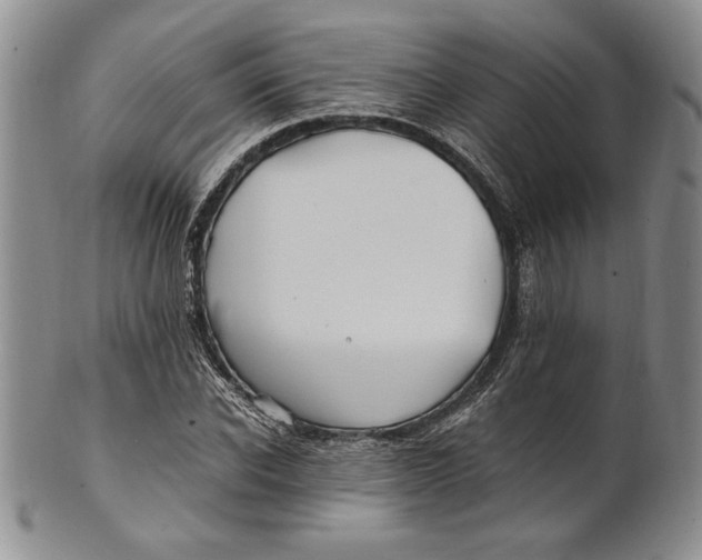 X0000100760926200807101724