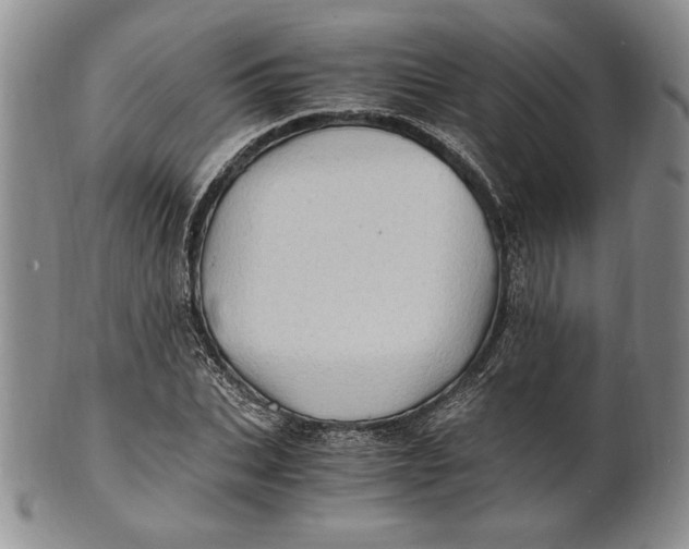 X0000100760927200807101724