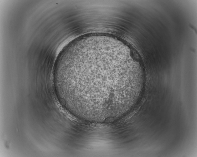 X0000100760928200807101724