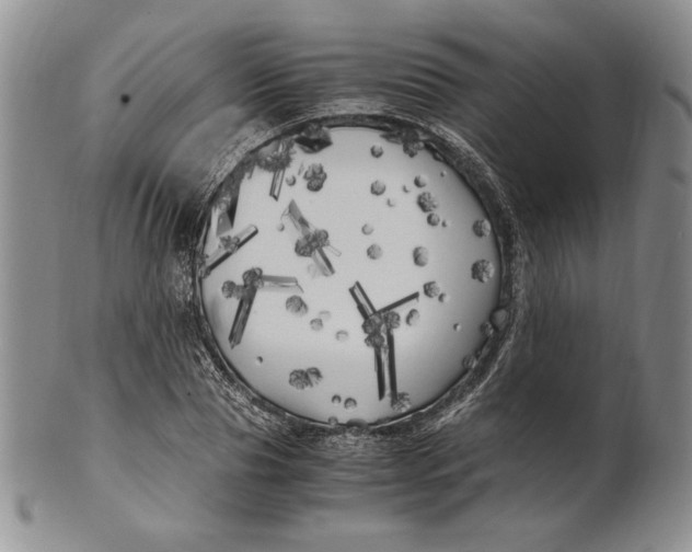 X0000100760929200807101724