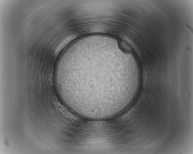 X0000100760930200807101724