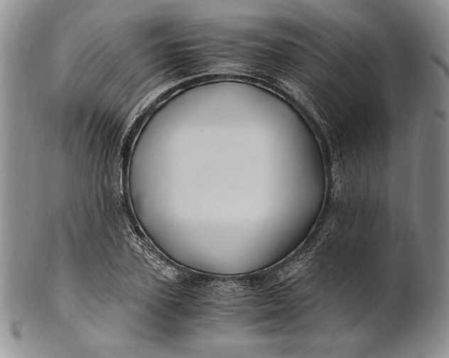 X0000100760931200807101724