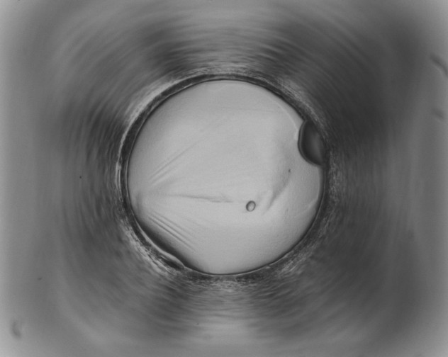 X0000100760932200807101724