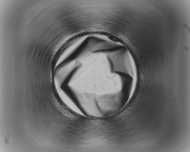 X0000100760934200807101724