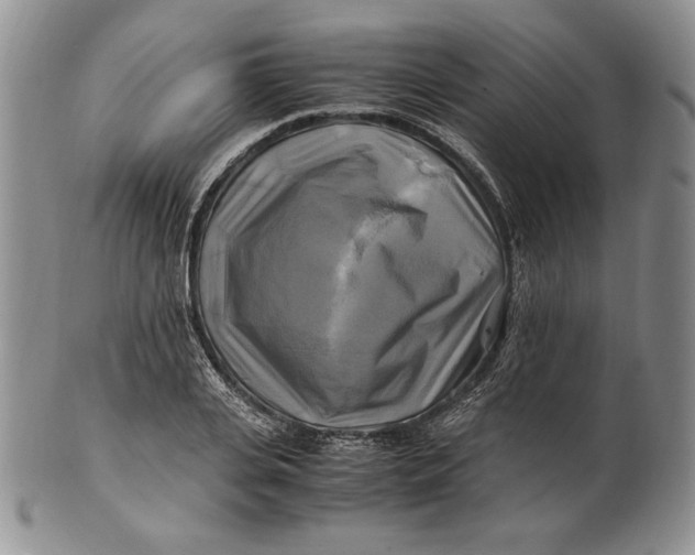 X0000100760935200807101724