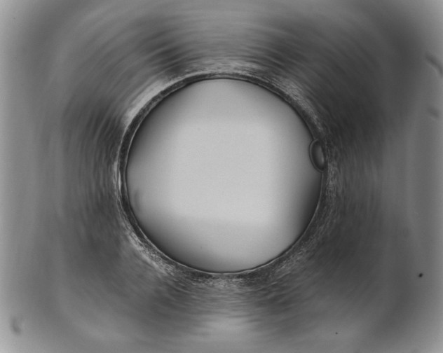 X0000100760936200807101724