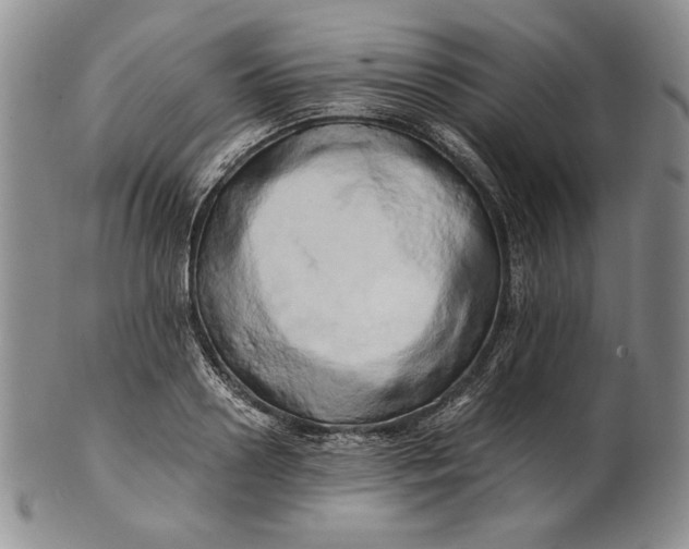 X0000100760938200807101724