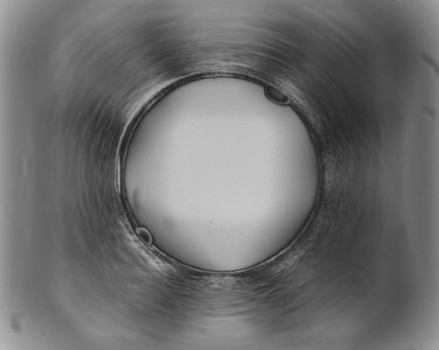 X0000100760940200807101724