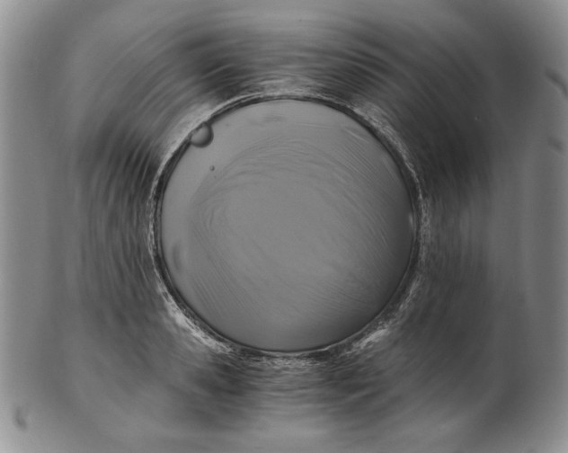 X0000100760941200807101724