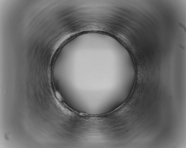 X0000100760942200807101724