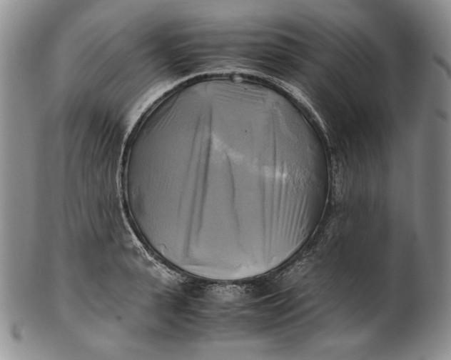 X0000100760943200807101724