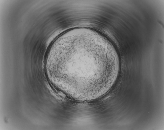 X0000100760944200807101724