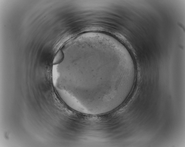 X0000100760945200807101724