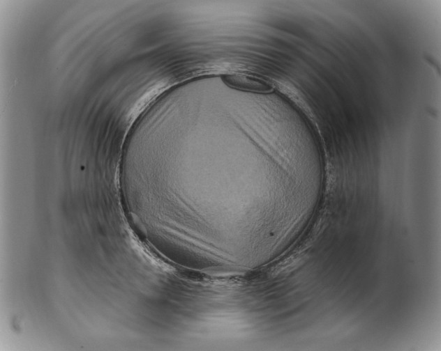 X0000100760946200807101724