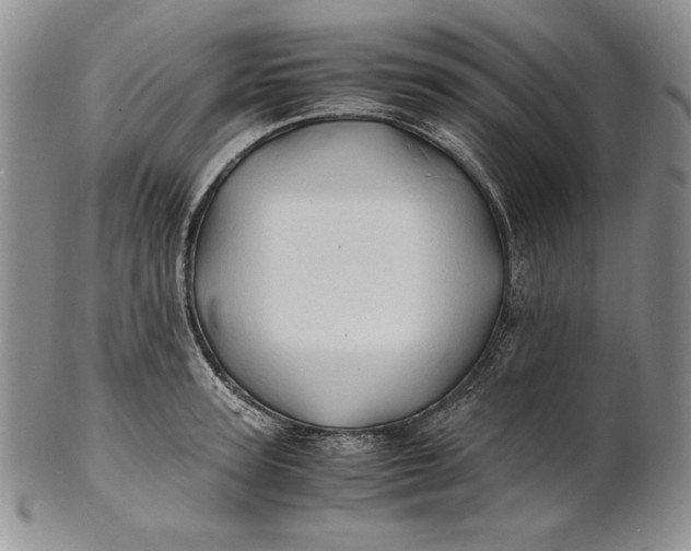 X0000100760947200807101724