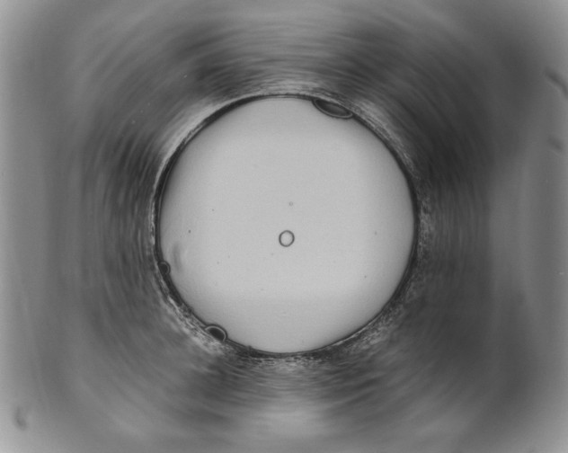 X0000100760948200807101724