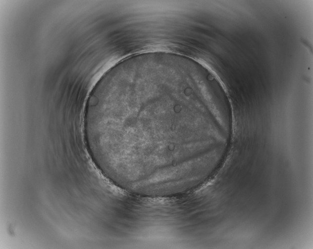 X0000100760949200807101724