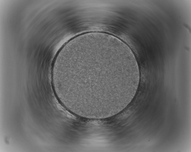 X0000100760950200807101724