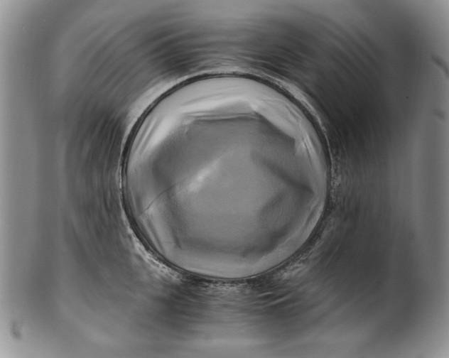 X0000100760951200807101724