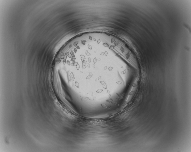 X0000100760952200807101724