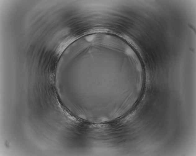 X0000100760953200807101724