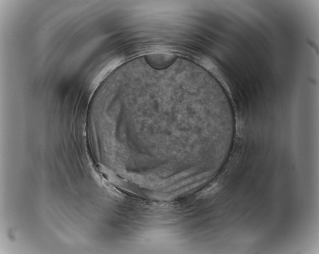 X0000100760954200807101724