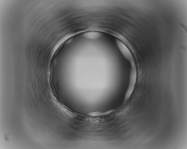 X0000100760955200807101724