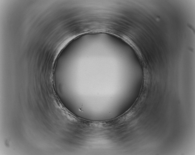 X0000100760956200807101724