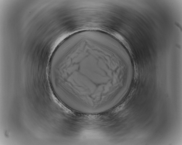 X0000100760958200807101724