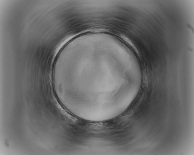 X0000100760959200807101724