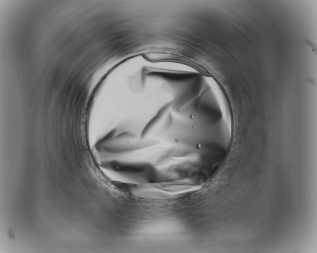 X0000100760960200807101724