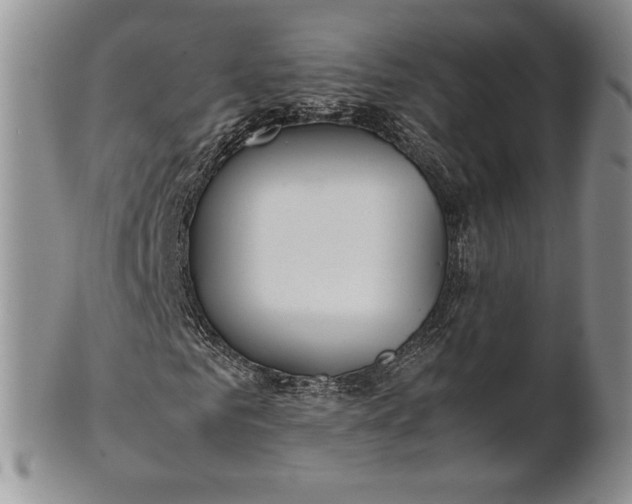 X0000100760961200807101724