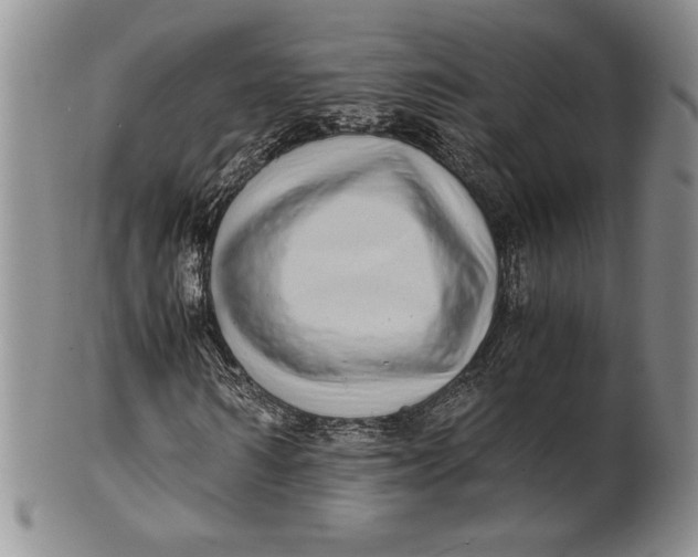 X0000100760962200807101724