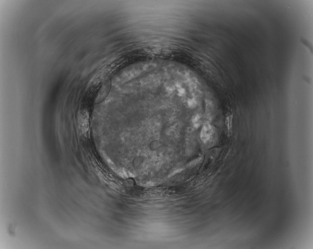 X0000100760963200807101724