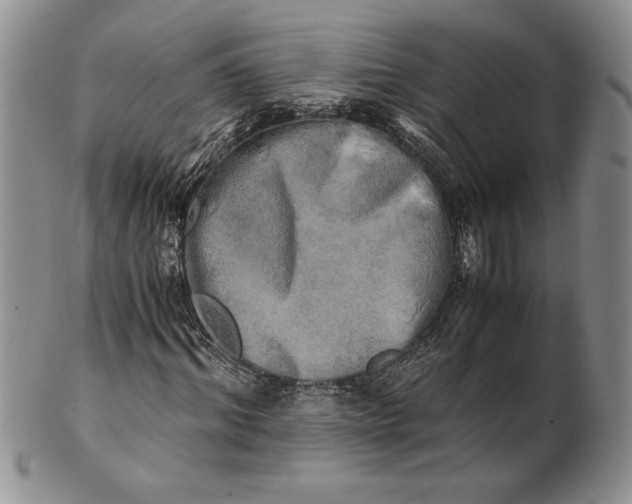 X0000100760964200807101724