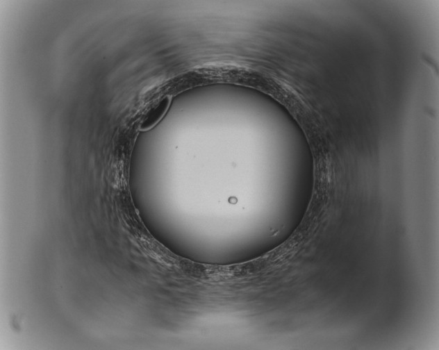 X0000100760965200807101723