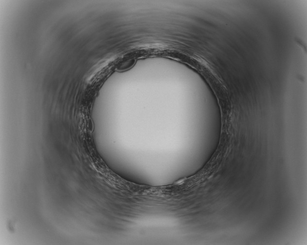 X0000100760967200807101723