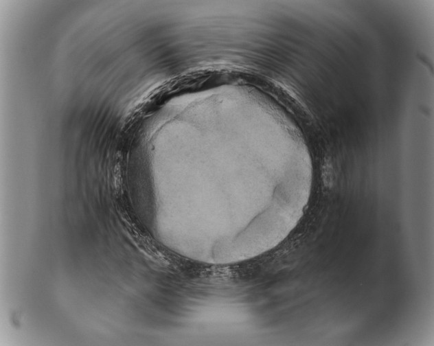 X0000100760968200807101723