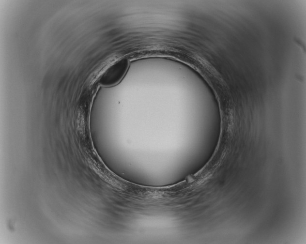 X0000100760969200807101723