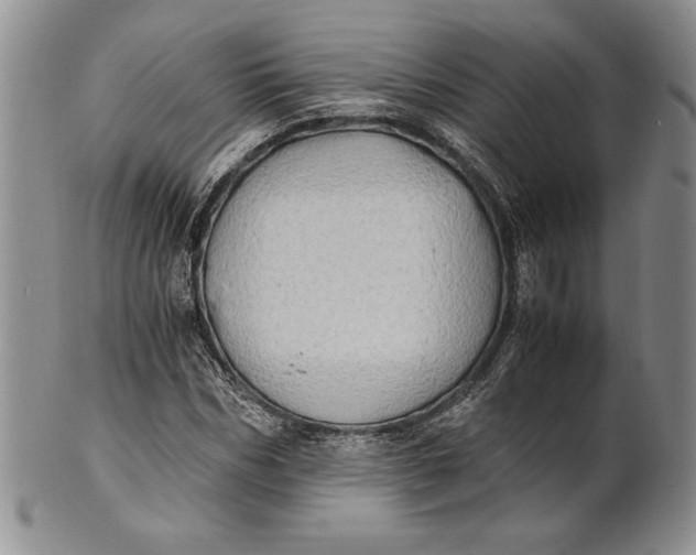 X0000100760970200807101723