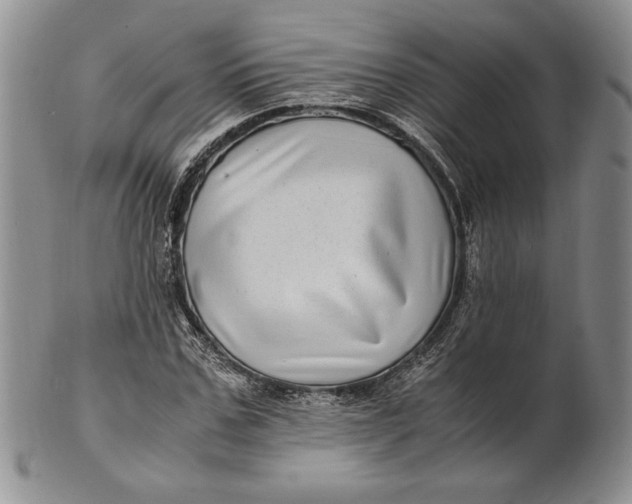 X0000100760971200807101723