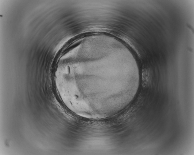 X0000100760972200807101723