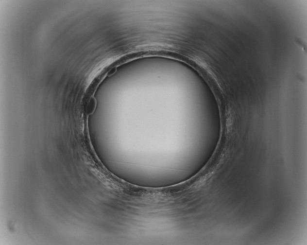 X0000100760973200807101723