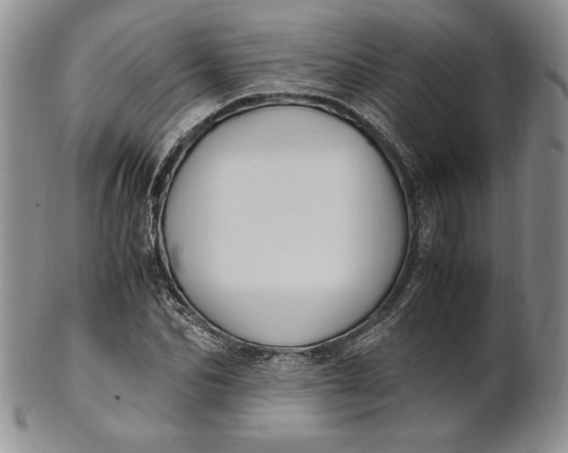 X0000100760974200807101723