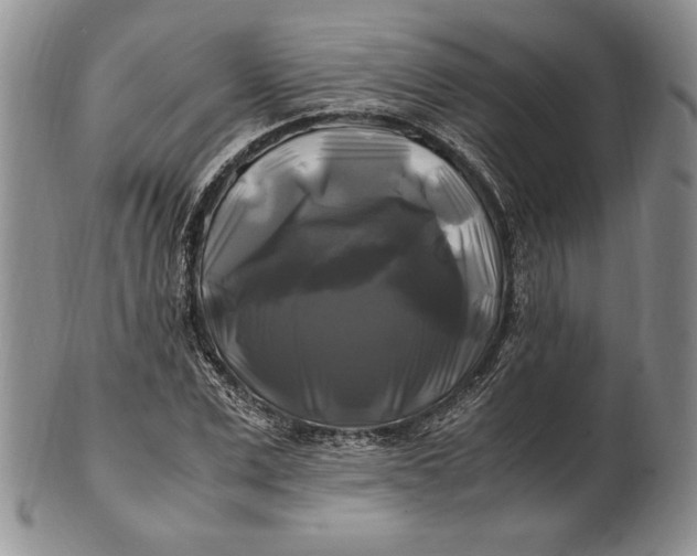 X0000100760975200807101723