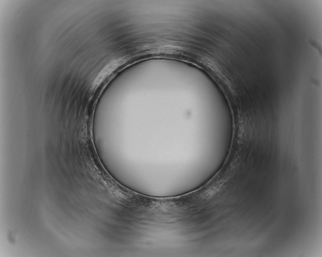 X0000100760978200807101723