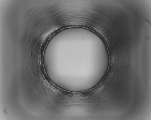 X0000100760979200807101723