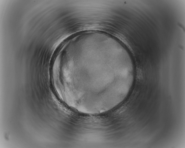 X0000100760980200807101723