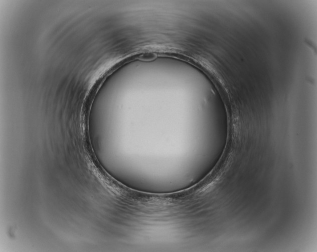 X0000100760981200807101723