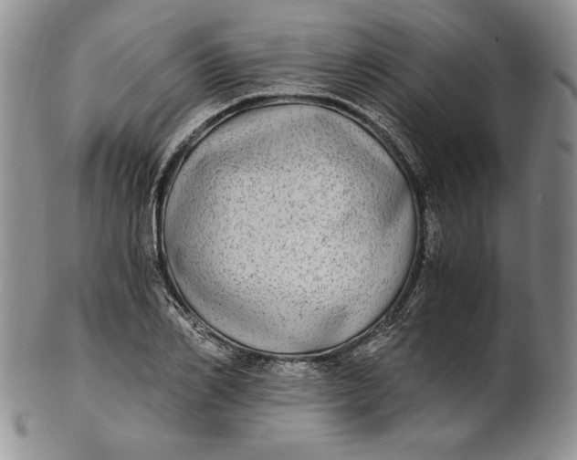 X0000100760982200807101723